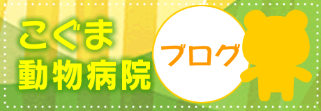 こぐま動物病院のブログ