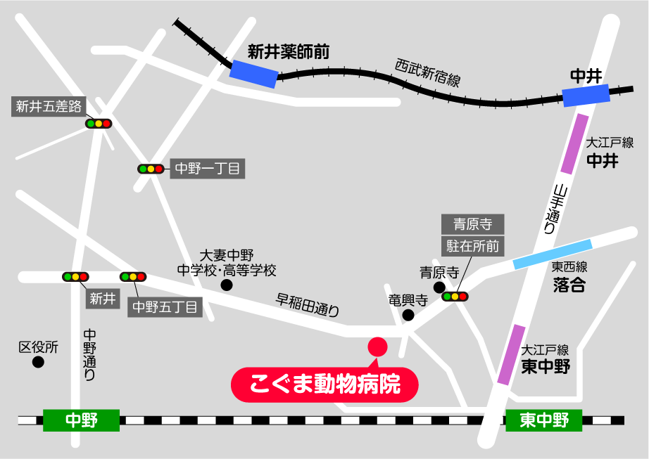 こぐま動物病院 地図